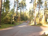 Tn IMG 1429